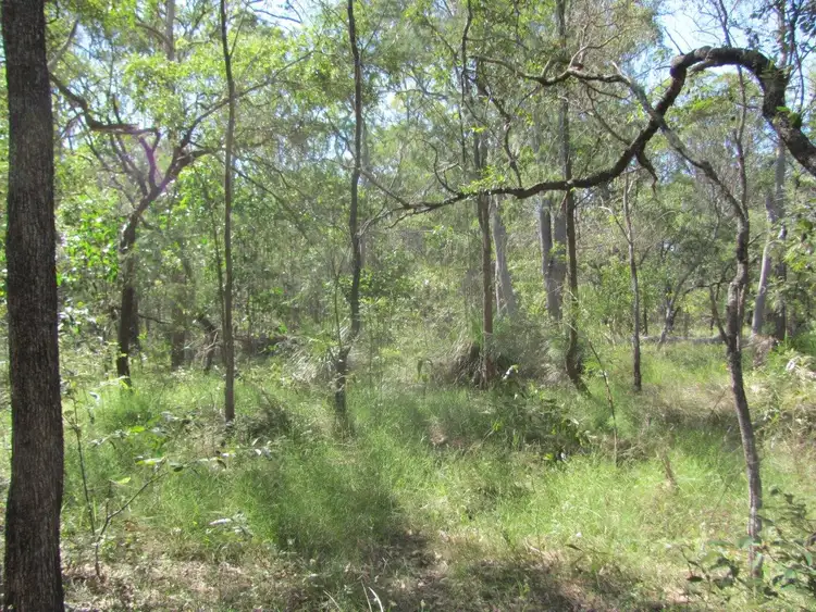 Fourth view of Homely rural property listing, Lot 44 Matchbox Road, Deepwater QLD 4674