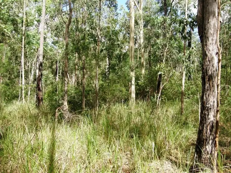 Third view of Homely rural property listing, 2541 Gwydir Highway, Ramornie NSW 2460