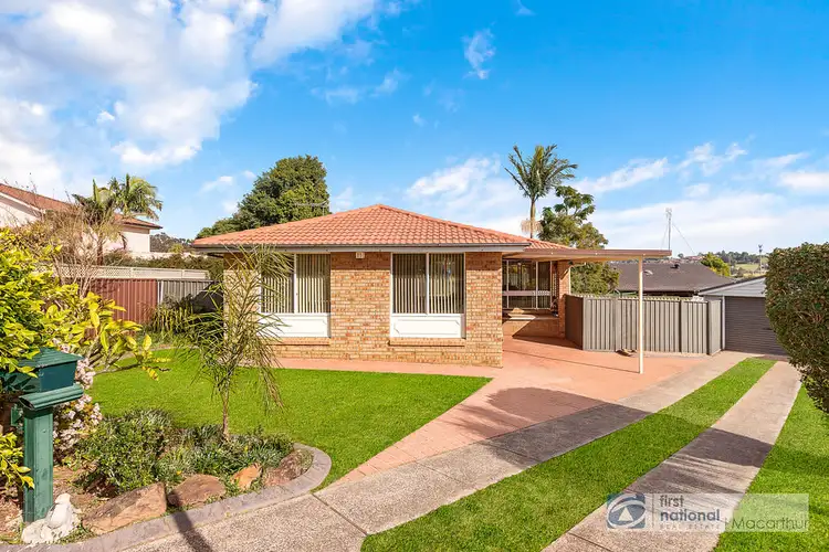 3 Hall Place, Minto NSW 2566