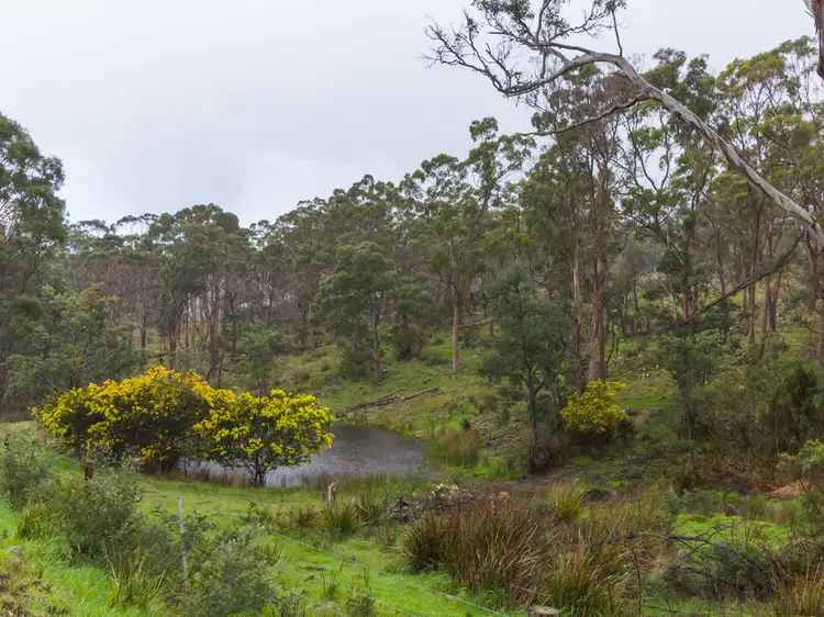 Fourth view of Homely house listing, 103 Disputed Road, Blessington TAS 7212
