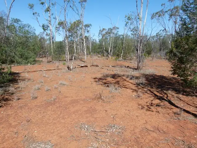 Sixth view of Homely rural property listing, 10 Daymar Rd, Thallon QLD 4497