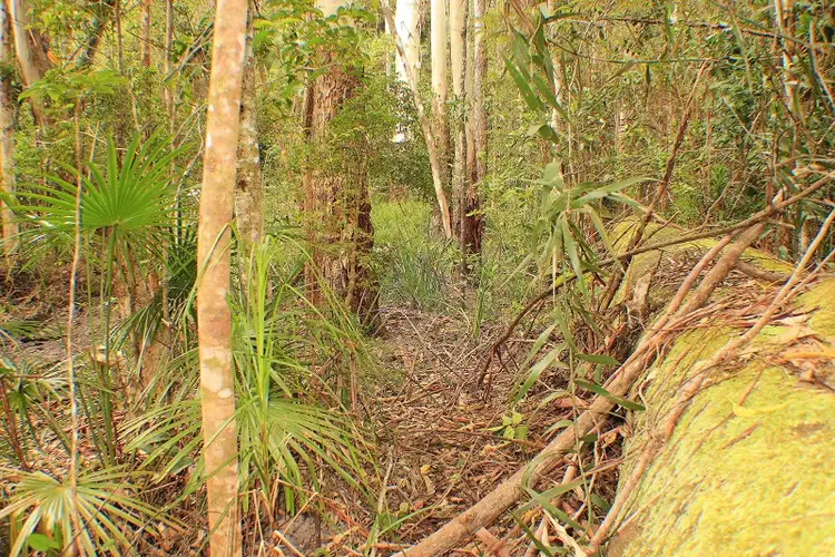 Fifth view of Homely land listing, 128 Kildeys Road, Cootharaba QLD 4565