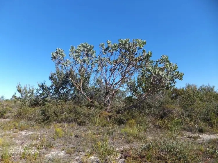 Sixth view of Homely land listing, 5 Whale Bay Drive, Hopetoun WA 6348