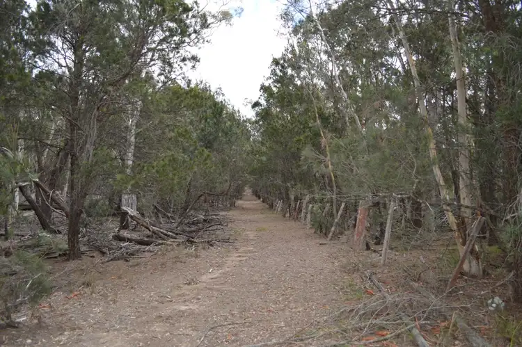 Third view of Homely rural property listing, 260 Sturgiss Lane, Tarago NSW 2580
