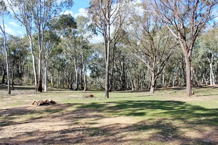 Seventh view of Homely rural property listing, 63 Research Road, Mudgee NSW 2850
