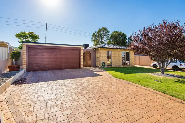 61 Dotterel Way, Yangebup WA 6164