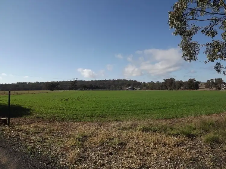 Second view of Homely rural property listing, Billabong Binnaway Road, Coonabarabran NSW 2357