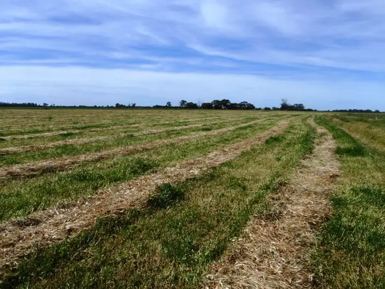 Third view of Homely rural property listing, Riverina Highway, Berrigan NSW 2712