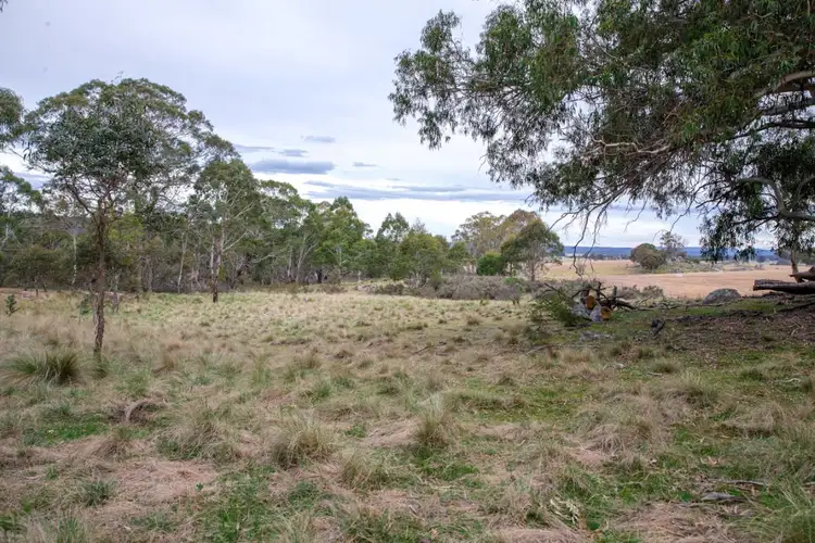 Second view of Homely rural property listing, Fronting Countegany Road, Cooma NSW 2630