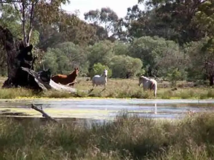 Second view of Homely rural property listing, MANDELSLOH 1506 Werah Creek Road, Wee Waa NSW 2388