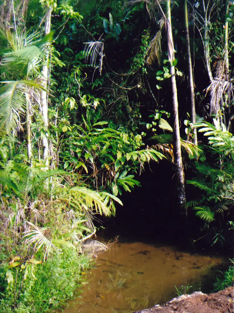 LOT 2 WALTER LEVER ESTATE ROAD, Japoonvale QLD 4856