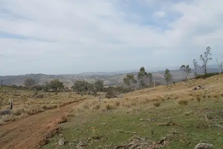 Seventh view of Homely rural property listing, 1972 Triamble Road, Mudgee NSW 2850