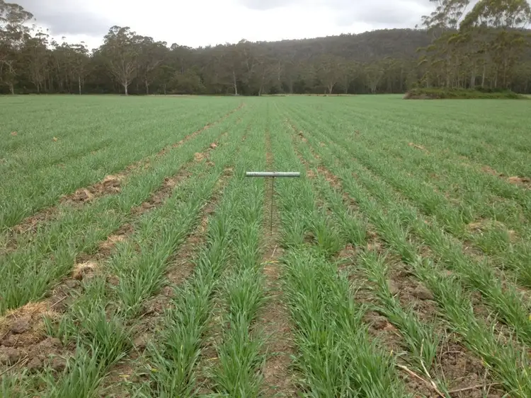 Second view of Homely rural property listing, CA 15A Lower Tonghi Road, Cann River VIC 3890