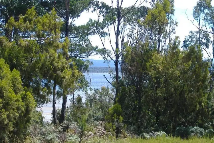 Seventh view of Homely land listing, 20 Cemetery Rd Lunawanna, Bruny Island TAS 7150