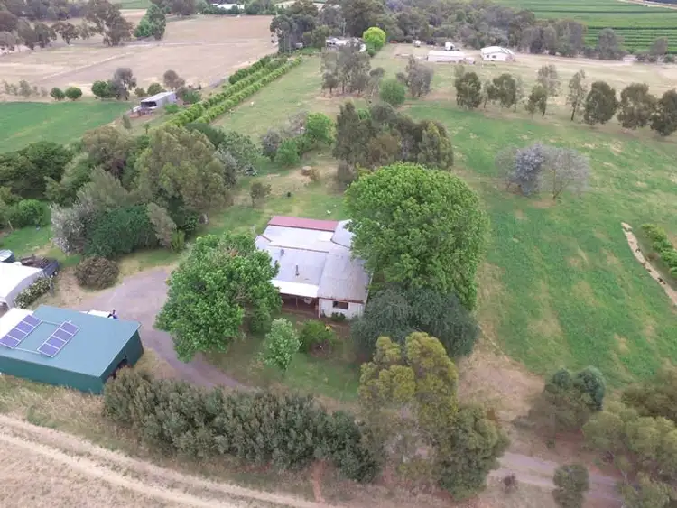 Sixth view of Homely rural property listing, 2619 Murray Valley Highway, Cobram East VIC 3644