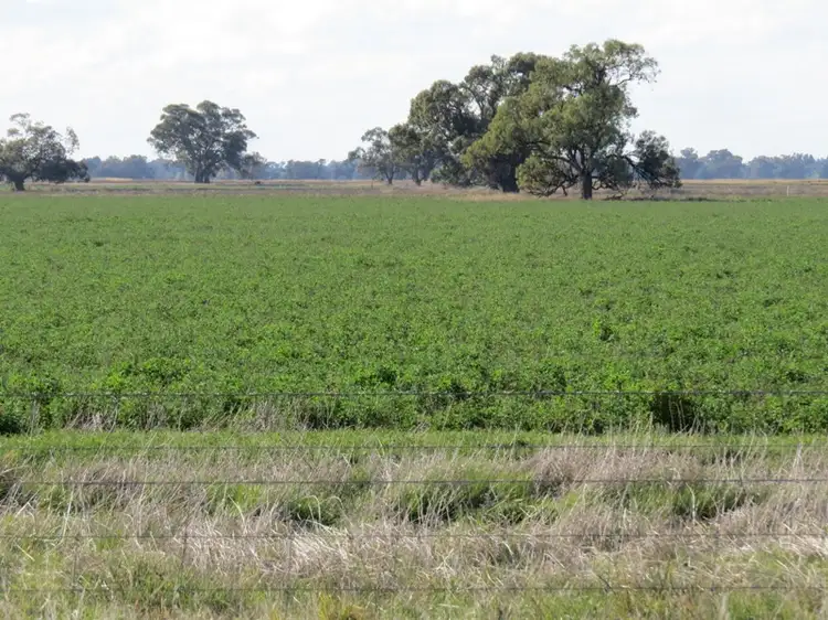 Main view of Homely rural property listing, RMB 185 Hetherington Road, Deniliquin NSW 2710