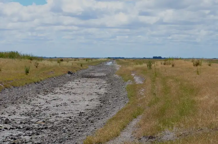 Seventh view of Homely rural property listing, Lot 101 Sneyd Island Road, Millicent SA 5280