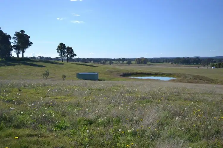 Seventh view of Homely rural property listing, 99 Coppabella Road, Rosewood NSW 2652