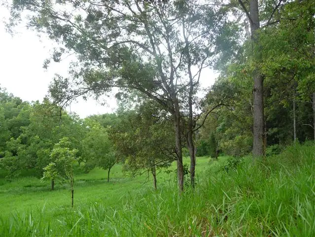 Fourth view of Homely land listing, 391 Dr Pages Road, Kin Kin QLD 4571