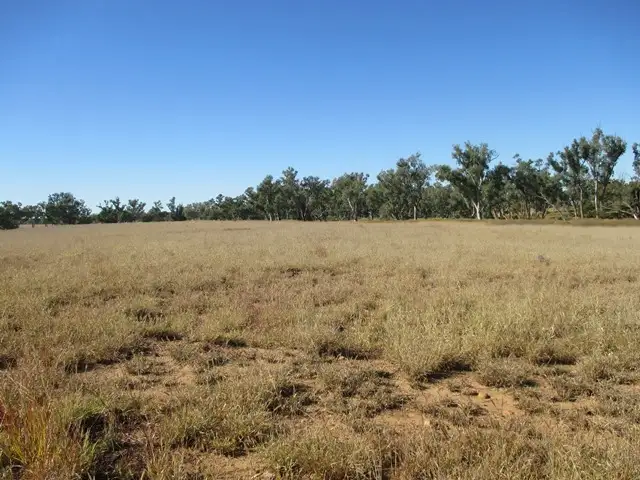 Fourth view of Homely rural property listing, 1416 HARTWOOD ROAD, Roma QLD 4455