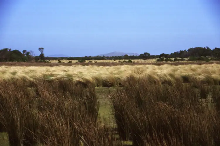 Fifth view of Homely land listing, . Lime Pit Road, Flinders Island TAS 7255