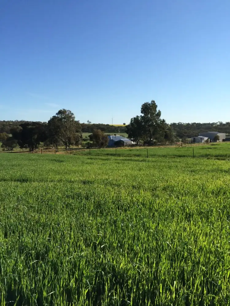 Sixth view of Homely rural property listing, 200 Slater Rd, Walyormouring, near, Goomalling WA 6460