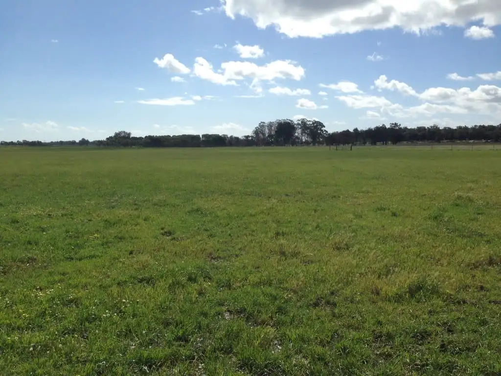 Main view of Homely rural property listing, Lot 245 Reigert Road, Yarloop WA 6218