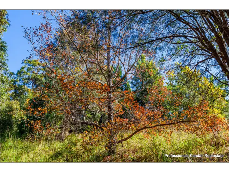 Seventh view of Homely land listing, 452 Henri Robert Drive, Tamborine Mountain QLD 4272