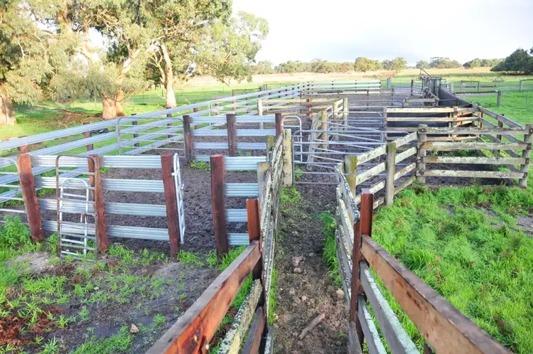 Second view of Homely rural property listing, 1884 Old Naracoorte Road, Robe SA 5276