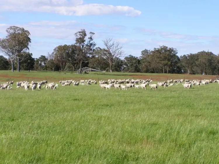 Third view of Homely rural property listing, Address available on request