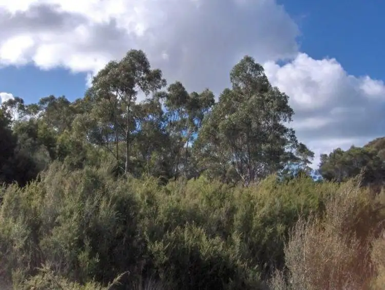 Second view of Homely land listing, 179 Potboil Road, Flinders Island TAS 7255