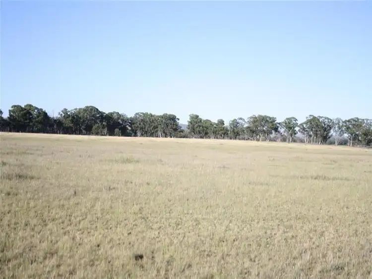 Sixth view of Homely rural property listing, 467 Yarrawonga Road, Mudgee NSW 2850