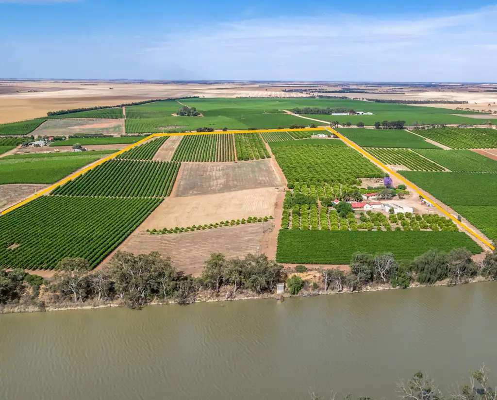 Main view of Homely rural property listing, 1851 Kingston Road - New Residence, Loxton SA 5333