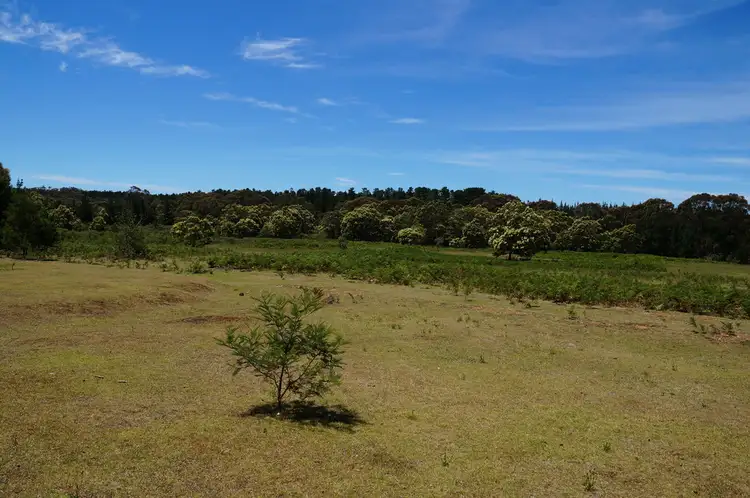 Fifth view of Homely rural property listing, . Stingray Road, Sutton Forest NSW 2577
