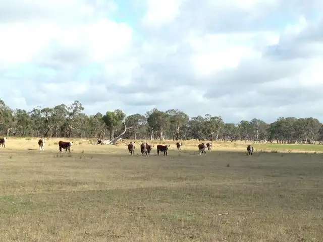 Sixth view of Homely land listing, . Myaring/Pieracle Road, Strathdownie VIC 3312