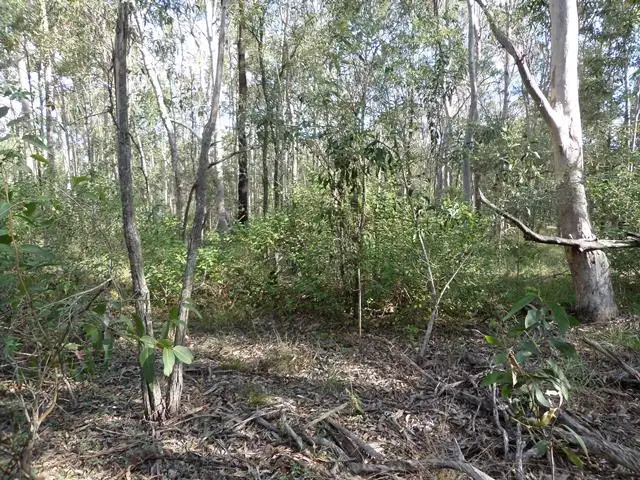 Fourth view of Homely land listing, 13 Kelly Rd, Spring Creek QLD 4343