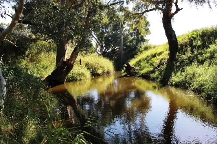 Second view of Homely rural property listing, 224 Burnlea Road, Langhorne Creek SA 5255