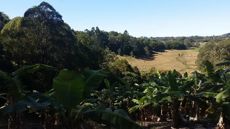 Sixth view of Homely rural property listing, 1727 Reserve Creek Road, Cudgera Creek NSW 2484