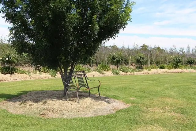 Fifth view of Homely rural property listing, Lot 1 Zanotto Road, Nericon NSW 2680