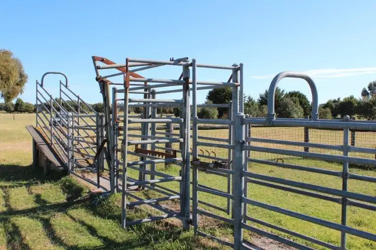 Fourth view of Homely rural property listing, 1 Wattle Range Road, Millicent SA 5280