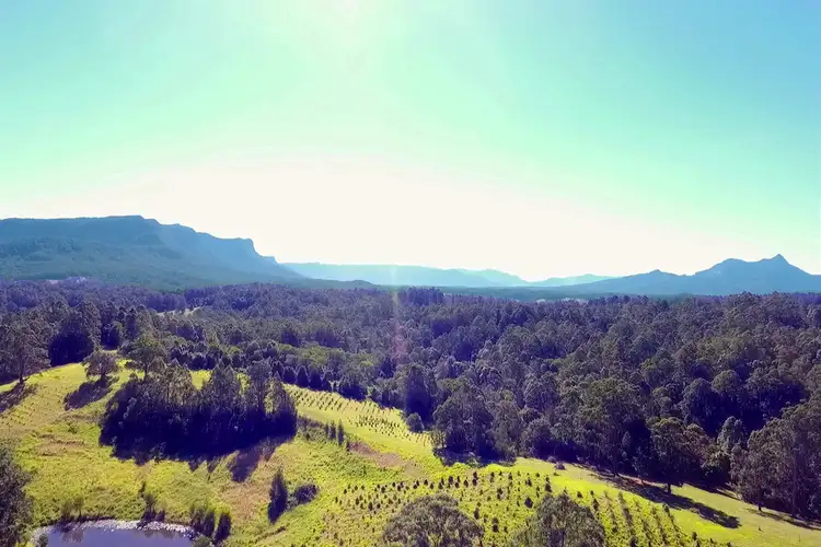 Main view of Homely rural property listing, 839 Blue Knob Road, Blue Knob NSW 2480