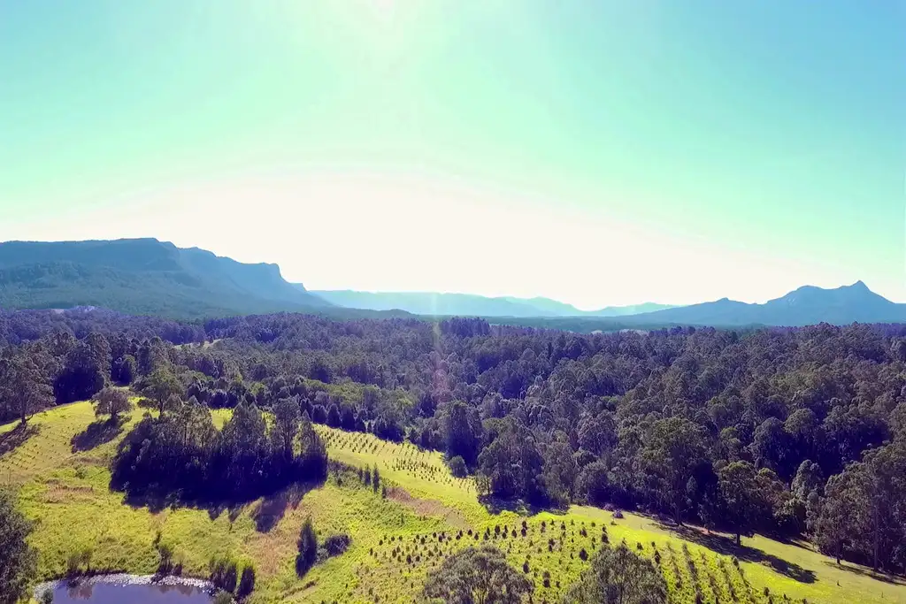 Main view of Homely rural property listing, 839 Blue Knob Road, Blue Knob NSW 2480