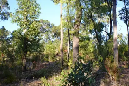 Fifth view of Homely land listing, 18 (Lot 80) Holly Place, Cowaramup WA 6284