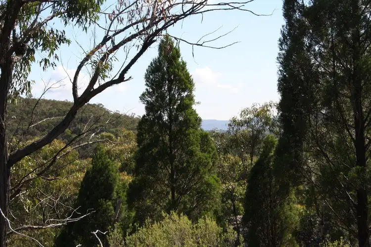 Fourth view of Homely rural property listing, 355 Gordons Gully Road, Mudgee NSW 2850