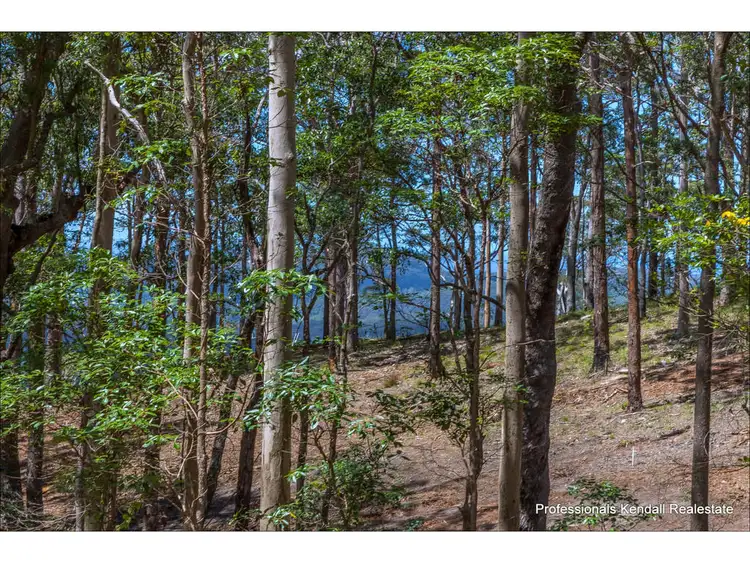 Third view of Homely land listing, Lot 4/106 Wongawallan Road, Tamborine Mountain QLD 4272