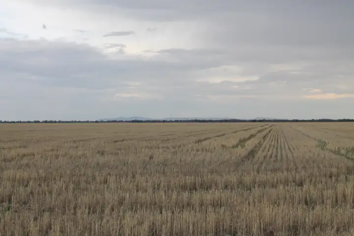 Second view of Homely rural property listing, - 'Argyle' & 'Melba Downs, Quandialla NSW 2721