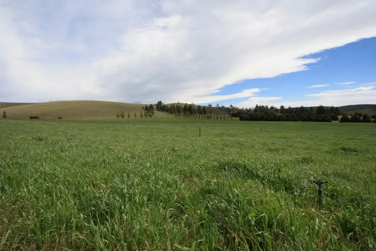 Second view of Homely rural property listing, 'WIRREGA' 112 Tillabudgerry Road, Cooma NSW 2630