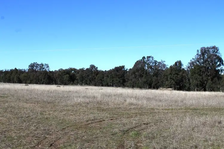 Fifth view of Homely house listing, 5 Wyoming Lane, Gulgong NSW 2852
