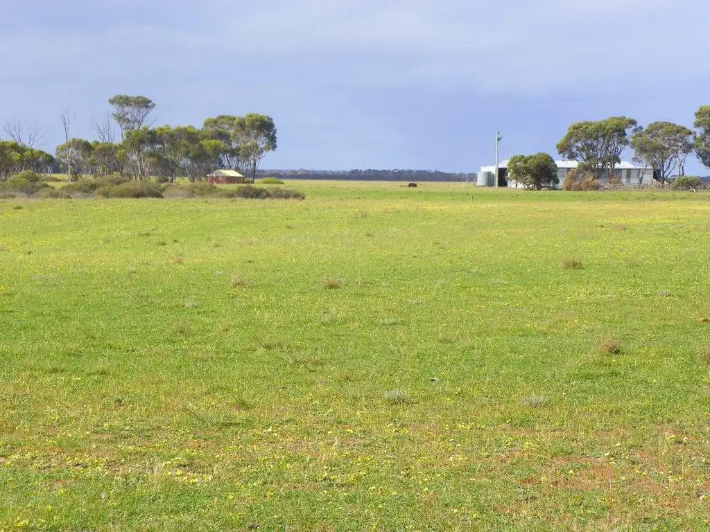 Main view of Homely rural property listing, 'Kingdons' Needilup Road N, Pingrup WA 6343