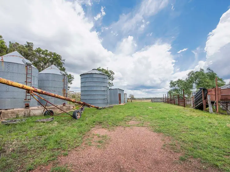 Fourth view of Homely rural property listing, 305 Blue Springs Road, Gulgong NSW 2852